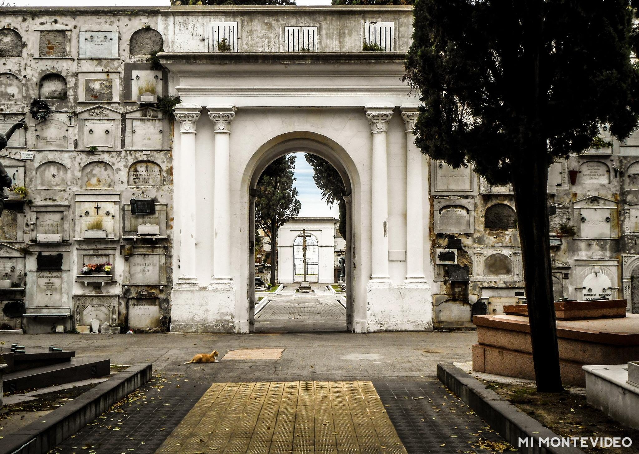 Cementerio Central de Montevideo