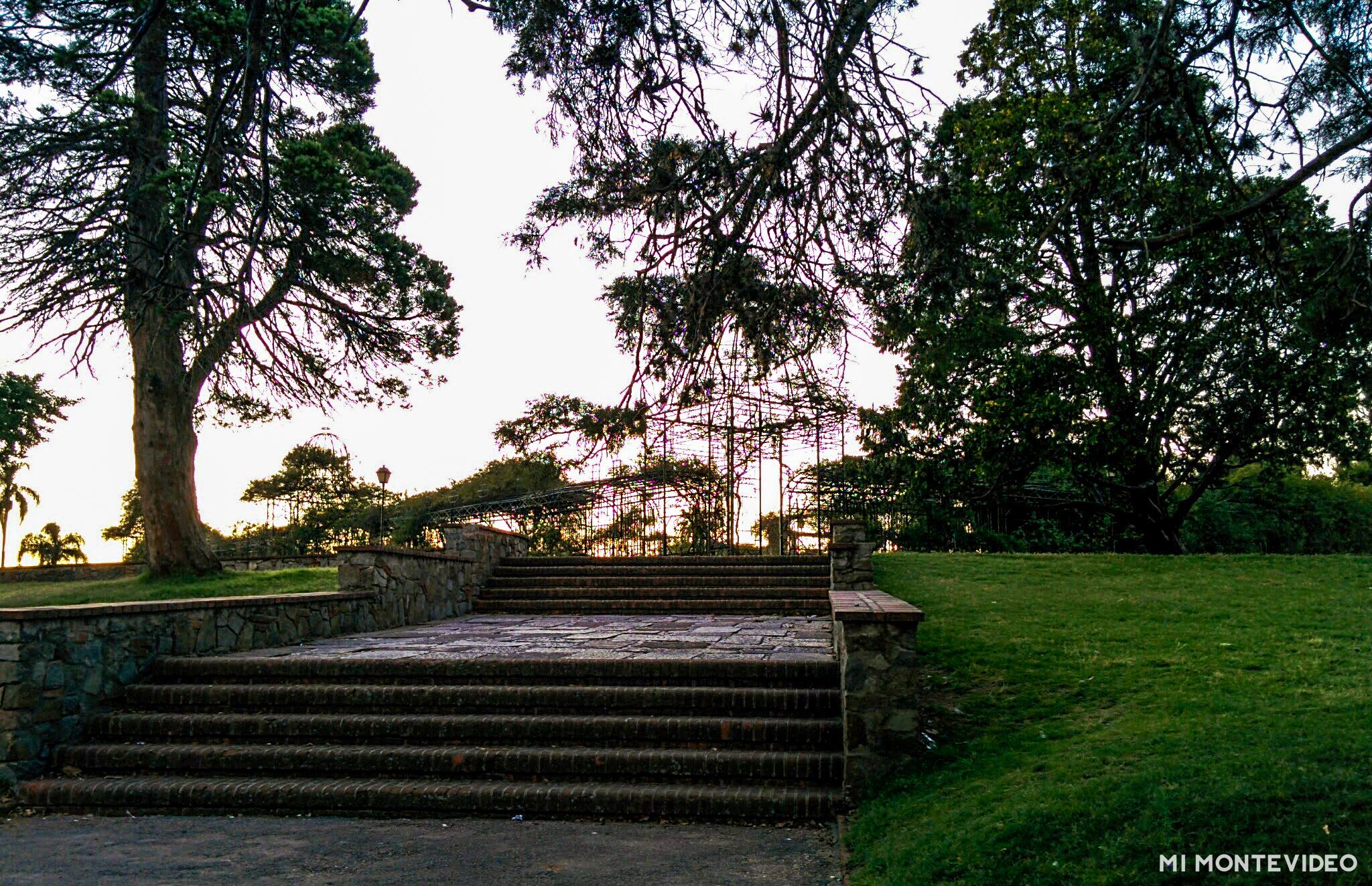 Rosedal del Prado